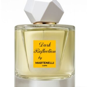 Dark Reflection 100ml extrait de parfum